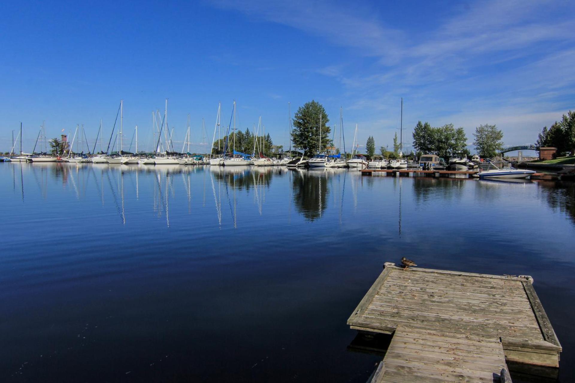 La Perle Rose Du Lac-st-jean